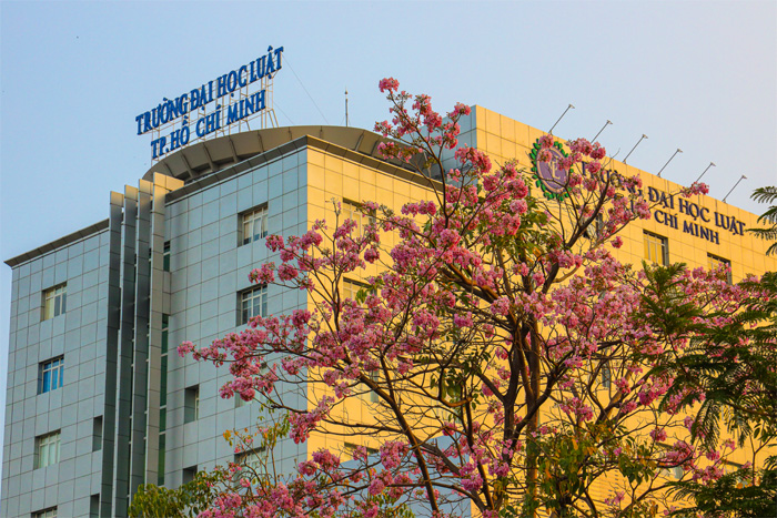 Tiêu điểm